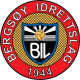 bergsøy håndball